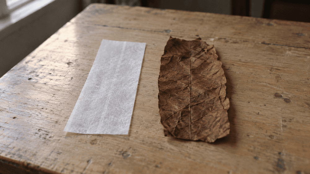 Blunt vs Joint: The Difference Is the Wrap, and What It Adds