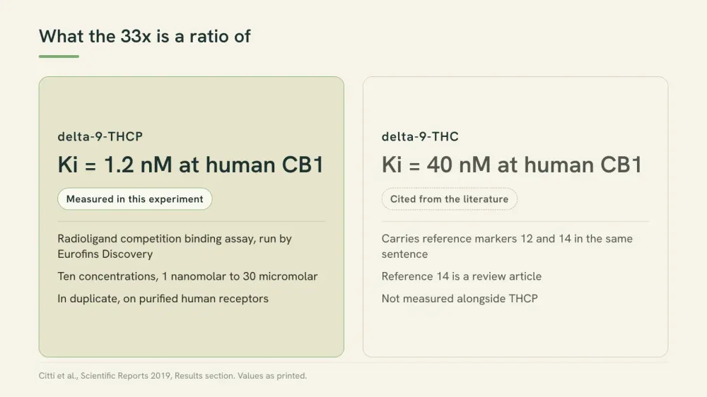 Diagram showing that THCP's binding constant was measured in the 2019 experiment while the delta-9-THC comparator was cited from earlier literature.