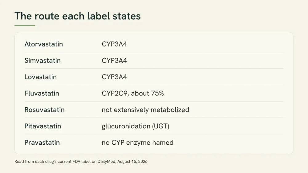Chart listing seven statins and the metabolic route each drug's FDA label states, from CYP3A4 to glucuronidation to no enzyme named.