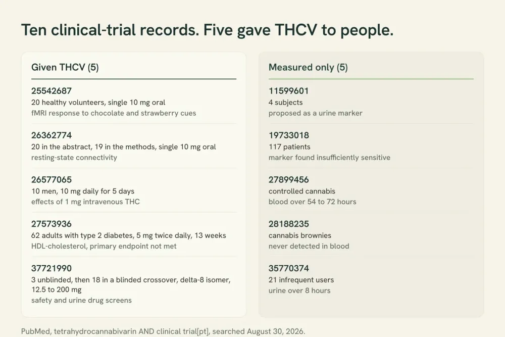 Chart splitting the ten THCV clinical-trial records into five in which participants were given THCV and five in which the molecule was only measured as an analyte, with the instrument used in each.