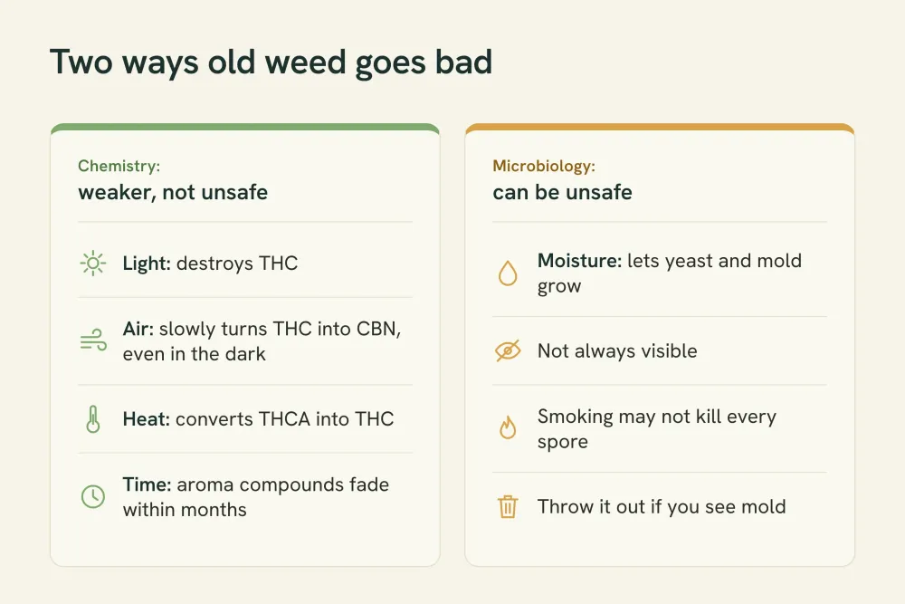 Two-panel diagram. Left, chemistry makes weed weaker: light destroys THC, air turns THC into CBN, heat converts THCA to THC, aroma fades. Right, mold makes it unsafe.