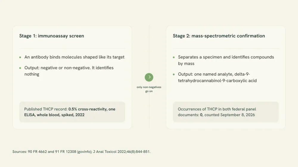 Diagram of the two halves of a drug test, an antibody screen on the left sorting specimens into negative and non-negative, and a mass-spectrometric confirmation on the right naming one molecule.