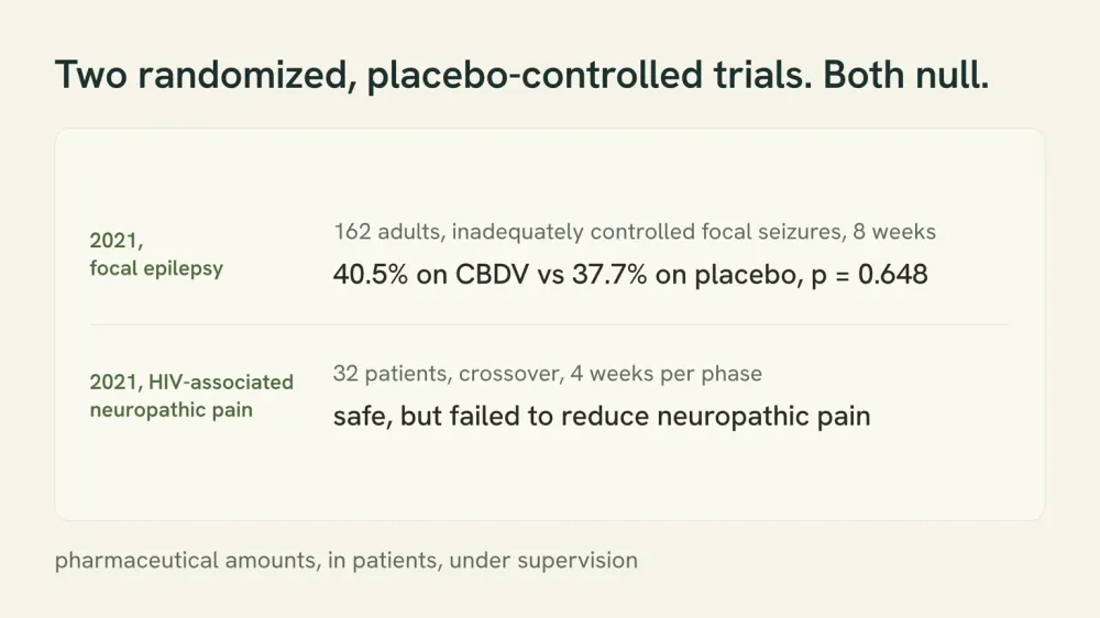 Two-row card. Top row: 162 adults with inadequately controlled focal seizures, 40.5% on CBDV against 37.7% on placebo, p equals 0.648. Bottom row: 32 patients with HIV-associated neuropathic pain, safe but failed to reduce pain.
