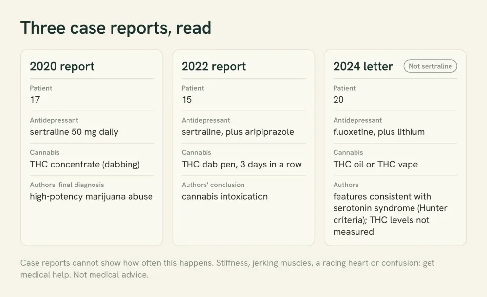 Three cards comparing the published case reports: patient age, antidepressant, THC product and the authors' conclusion for each.