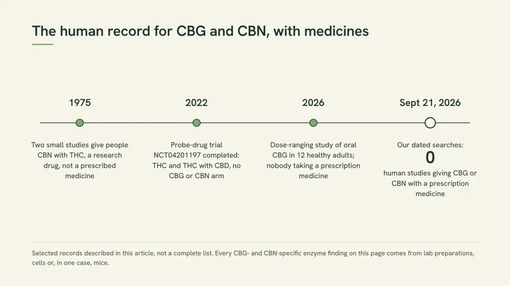 Timeline of the human record: 1975 studies giving CBN with THC, a 2022 probe-drug trial with no CBG or CBN arm, a 2026 CBG dose study with no medicines, and zero studies with a medicine as of September 21, 2026.