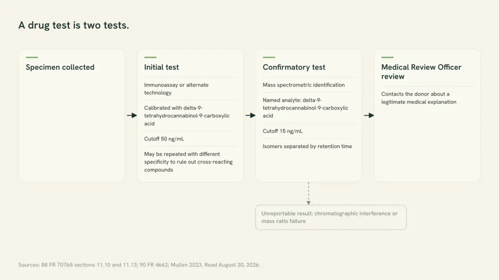 Flow diagram of a federal urine drug test: specimen, then an initial immunoassay calibrated with the delta-9 acid at 50 ng/mL, then a confirmatory mass spectrometry test at 15 ng/mL, then Medical Review Officer review.