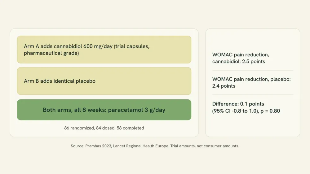 Chart of the Vienna trial: both arms took paracetamol 3 g/day for eight weeks, one arm added cannabidiol and the other added placebo, and the pain difference between them was 0.1 points.