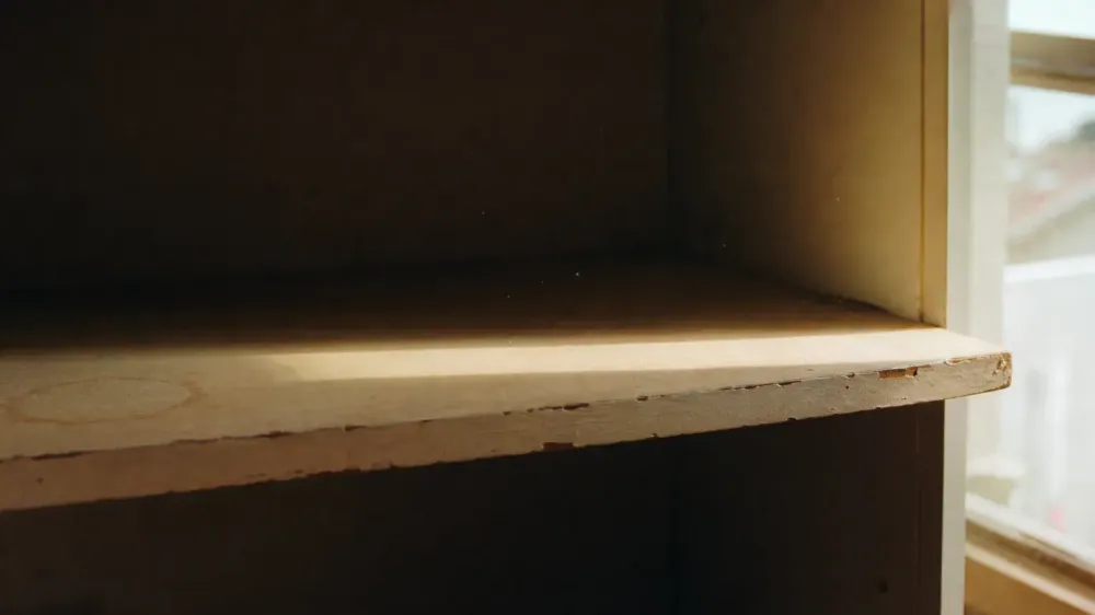 Late afternoon sun falling in a hard band across an empty painted shelf inside an open cupboard, its front edge chipped and a faint ring stain on the wood, with the back of the cupboard in shadow.