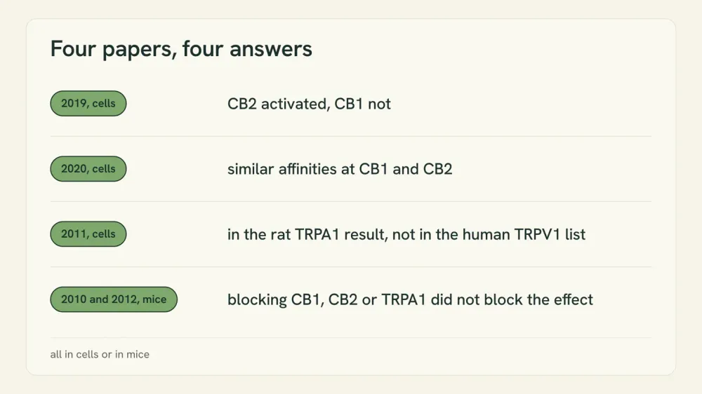 A four-row card. Each row names one preclinical study and its mechanism finding: CB2 and not CB1; similar affinities at both; rat TRPA1 but not the human TRPV1 list; and blockers that did not block.