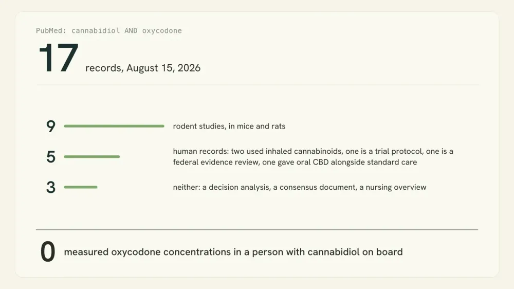 Graphic breaking the 17 PubMed records for cannabidiol and oxycodone into nine rodent studies, five human records and three that are neither, with zero measuring blood levels.