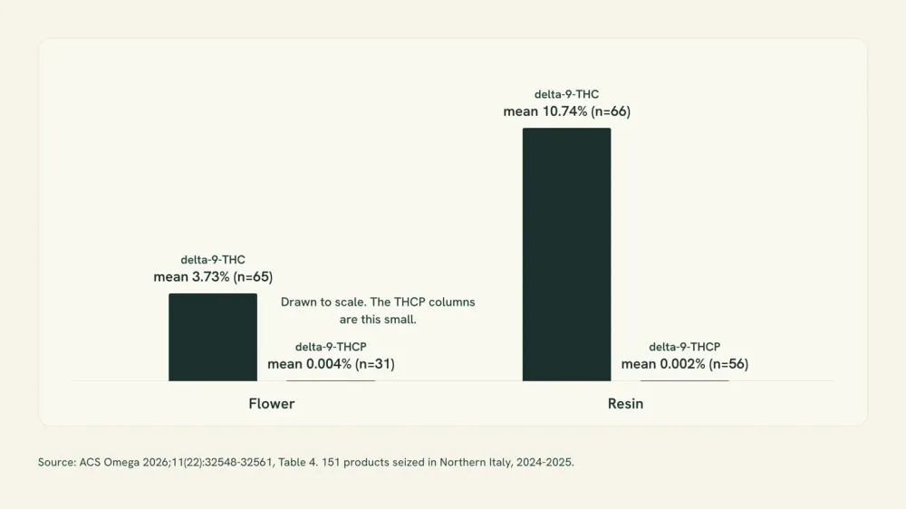 Chart contrasting mean delta-9-THC content with mean delta-9-THCP content in the same seized flower and resin samples, with the THCP values printed as numerals because they are too small to draw at the same scale.