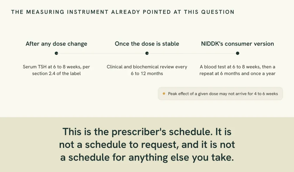 Timeline graphic of the levothyroxine monitoring schedule described in the label and by NIDDK: a TSH test six to eight weeks after any dose change, then a review every six to twelve months once the dose is stable.