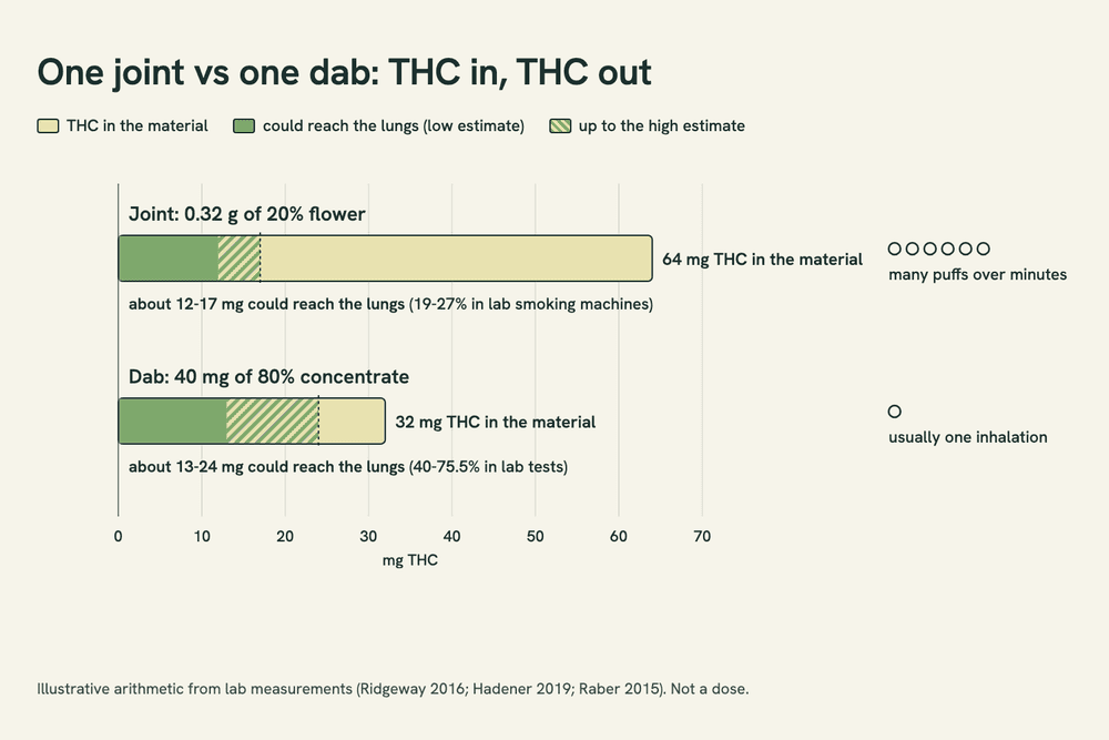 Two horizontal bars comparing a joint and a dab: the joint starts with 64 mg of THC and about 12-17 mg reaches the lungs; the dab starts with 32 mg and about 13-24 mg reaches the lungs.