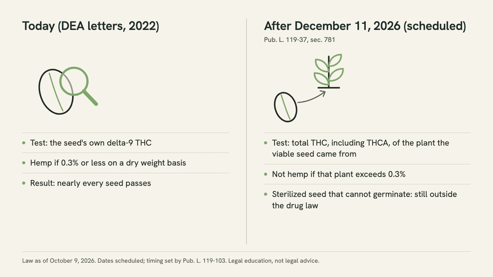 Two-panel diagram. Left, 'Today (DEA letters, 2022)': one seed, tested on its own delta-9 THC. Right, 'After December 11, 2026 (scheduled)': a seed linked to the plant it came from, tested on that plant's total THC.