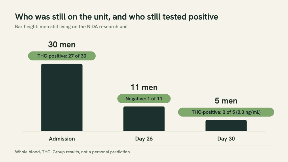 Bar chart of the 30-man NIDA whole-blood study: 30 men on admission with 27 THC-positive, 11 men left at day 26 with only 1 negative, and 5 men left at day 30 with 2 still THC-positive.