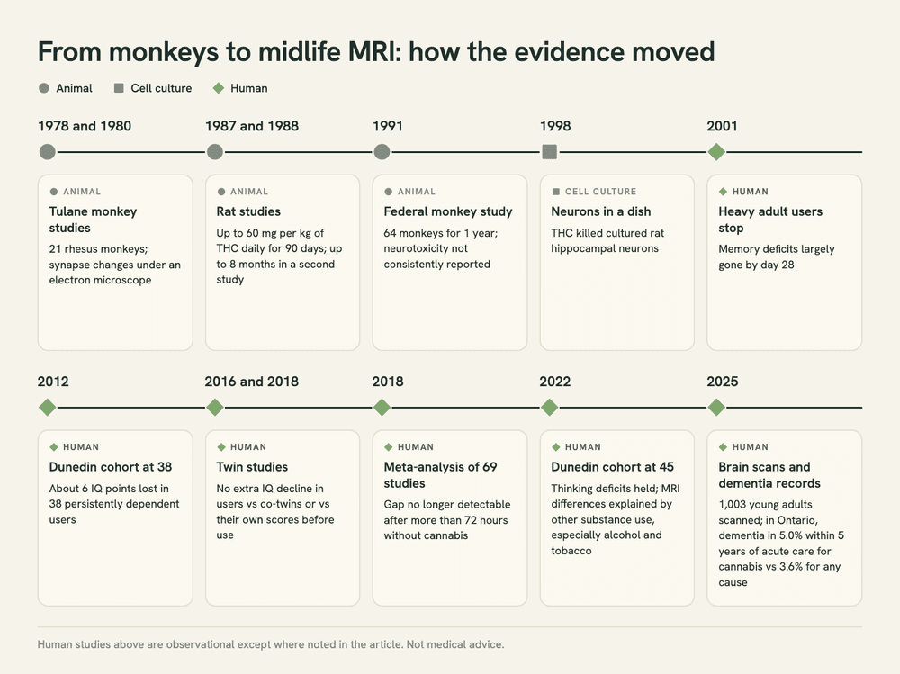 Timeline of key studies from 1978 to 2025, marked as animal, cell culture or human, from the Tulane monkey studies to the 2025 Ontario dementia records.