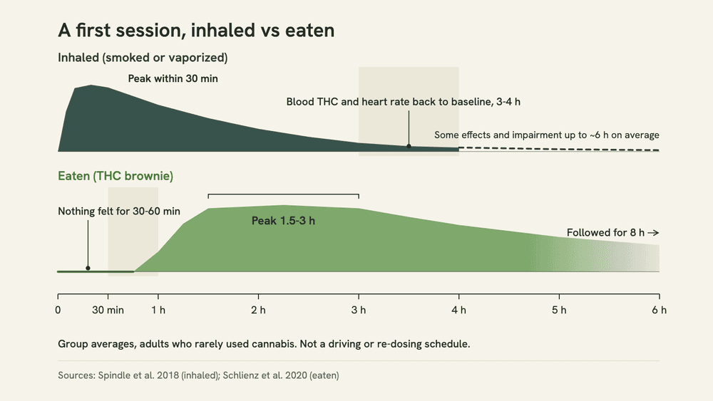Two-track timeline: inhaled THC peaks within 30 minutes and blood THC returns to baseline in 3 to 4 hours, while an edible starts at 30 to 60 minutes and peaks at 1.5 to 3 hours.