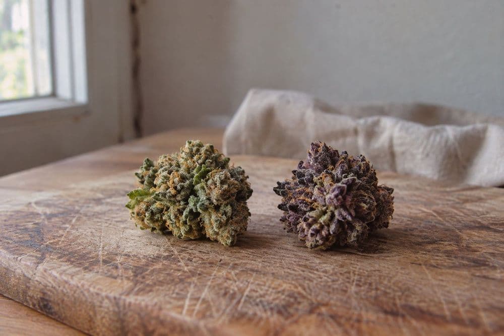 Two dried cannabis buds side by side on a wooden board, one green with orange hairs and one with deep purple leaves.