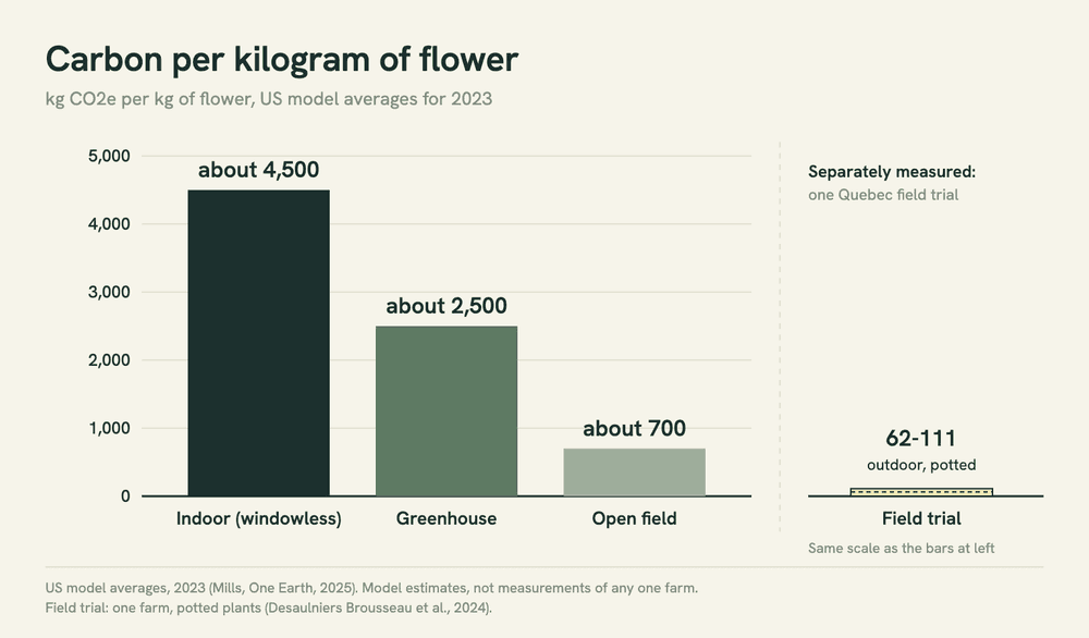 Bar chart of carbon per kilogram of cannabis flower in a 2025 US model: indoor about 4,500 kg CO2e, greenhouse about 2,500, open field about 700.