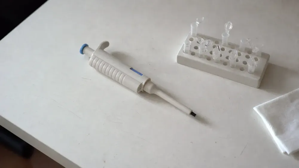 Does CBN Show Up on a Drug Test? Screening, Confirmation, and the Part Sellers Skip