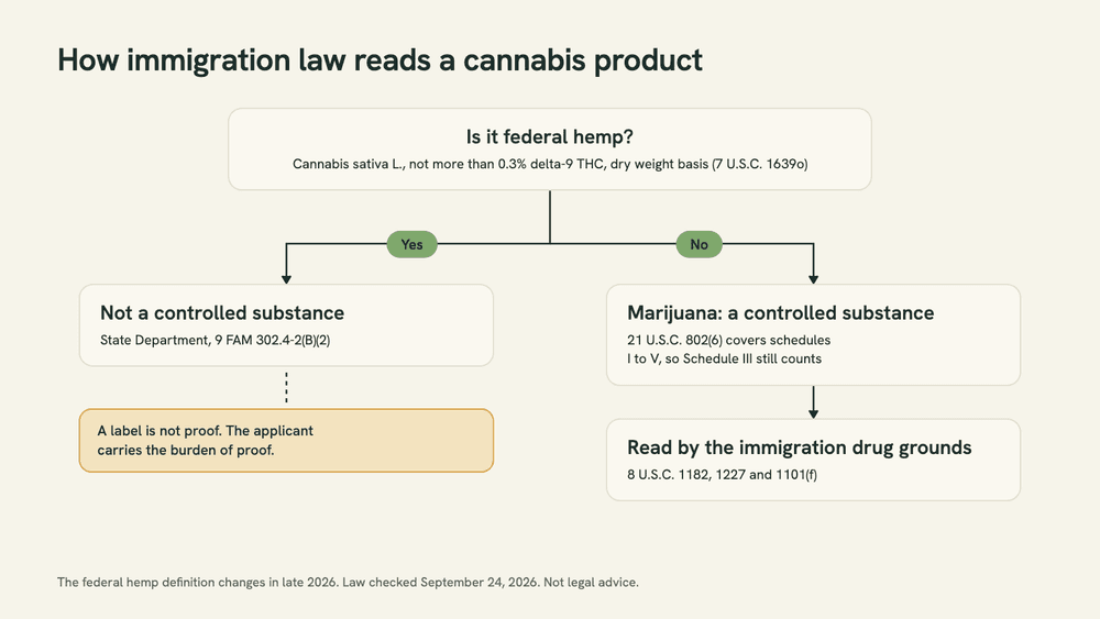 Flow diagram: a cannabis product that is federal hemp, at no more than 0.3% delta-9 THC, is not a controlled substance, though a label is not proof; anything else is marijuana, a controlled substance read by the immigration drug grounds.