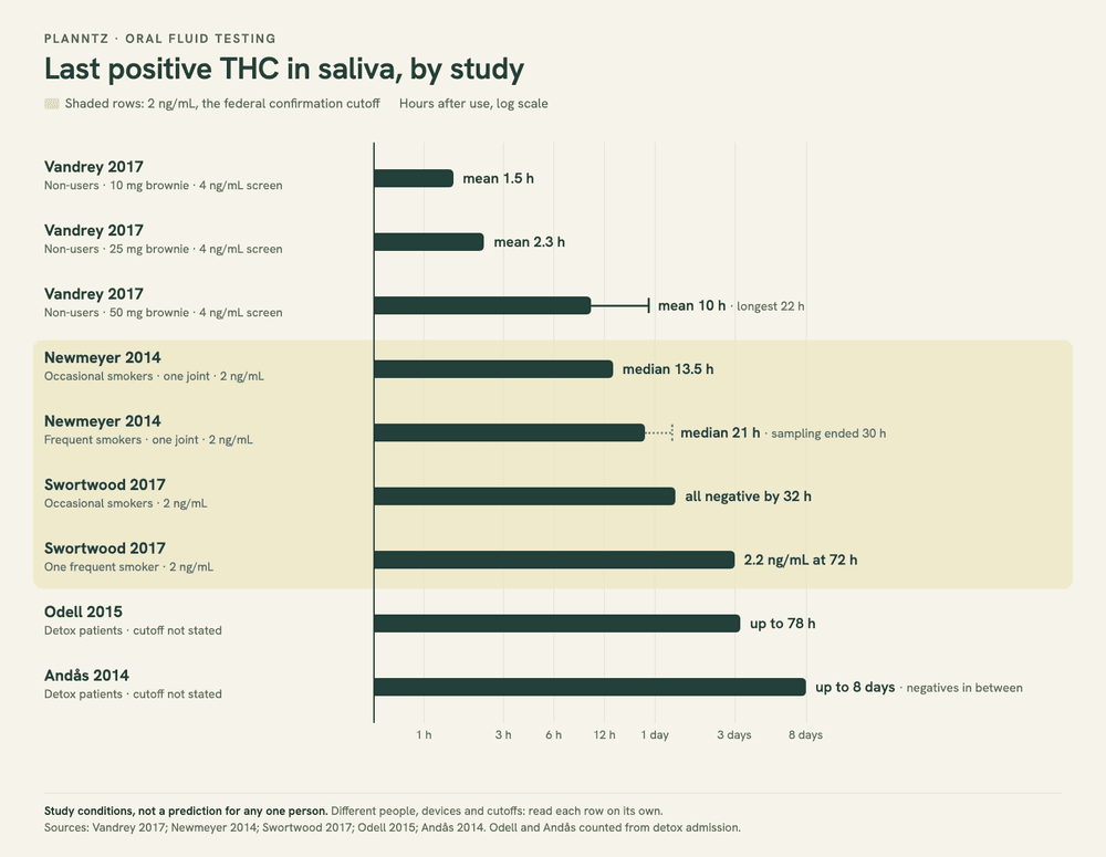 Chart of the last positive saliva THC result reported in each study, from about 1.5 hours after a 10 mg brownie in non-users to up to 8 days in heavy users in detox, with each bar labeled by its cutoff.