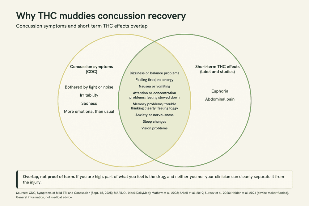 Graphic of two overlapping circles, concussion symptoms (CDC) and short-term THC effects. The overlap lists dizziness or balance problems, tiredness, nausea or vomiting, attention and memory problems, anxiety, sleep changes and vision problems.