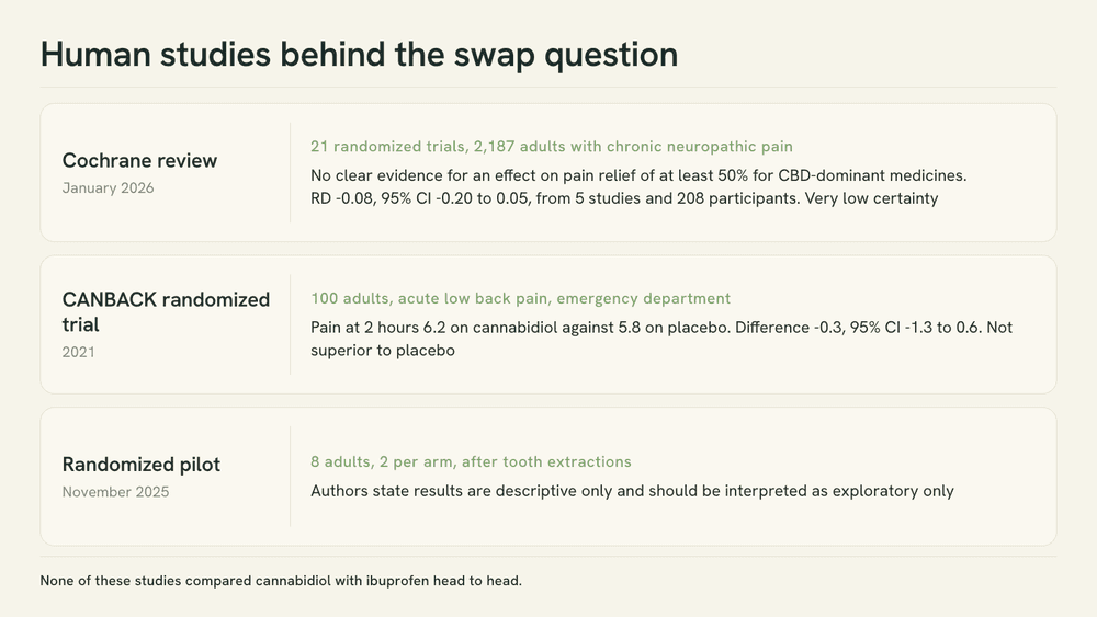 Reference card summarizing what three human studies of cannabidiol and pain report, with the sample size and the stated limitation of each.