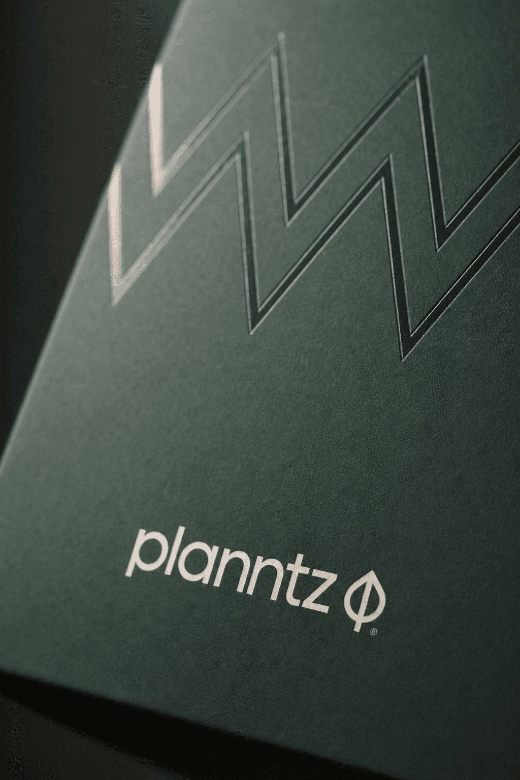 Primer plano del envase Planntz mostrando el detalle en chevron en relieve y el logotipo