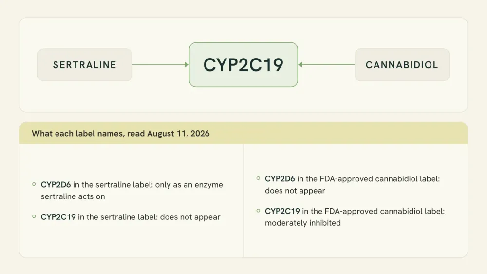 Diagram showing sertraline and cannabidiol both passing through the liver enzyme CYP2C19, beside a strip listing what each drug label does and does not name.