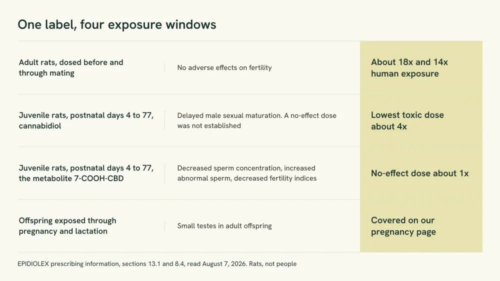 Diagram of four exposure windows from one CBD drug label, showing what was reported in each and the exposure margin attached to it.