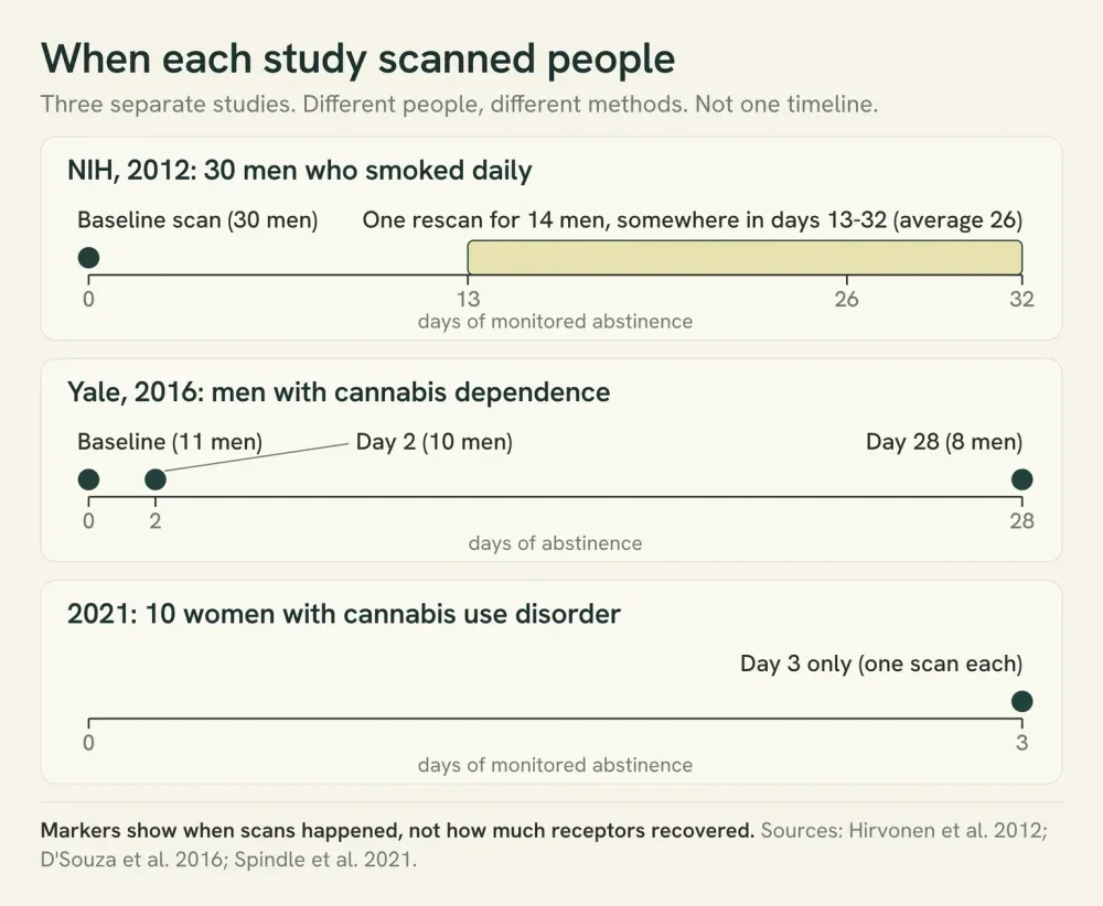Three separate rows, one per study, marking scan days: NIH 2012 baseline plus one rescan between days 13 and 32; Yale 2016 baseline, day 2 and day 28; a 2021 study of women, day 3 only.