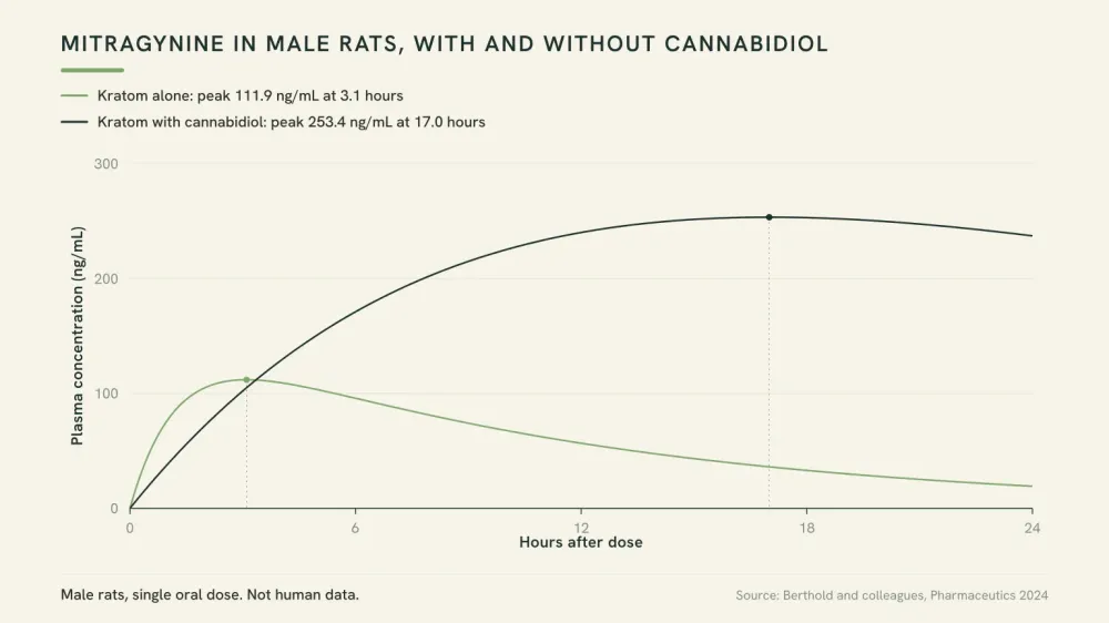Line chart of two plasma concentration curves in male rats: mitragynine alone peaking near three hours and lower, and mitragynine with cannabidiol peaking near seventeen hours and higher.