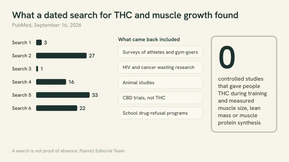 Graphic of six PubMed searches run on September 16, 2026, returning 3, 27, 1, 16, 33 and 22 records, with what came back and a result of zero controlled THC training studies measuring muscle.