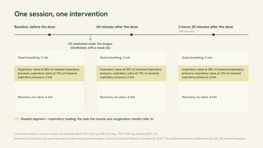 Timeline of one trial session: three measurement blocks, at baseline, 60 minutes after the dose and 150 minutes after the dose, each made of 2 minutes of quiet breathing, 2 minutes against an inspiratory valve, and 4 minutes of recovery.