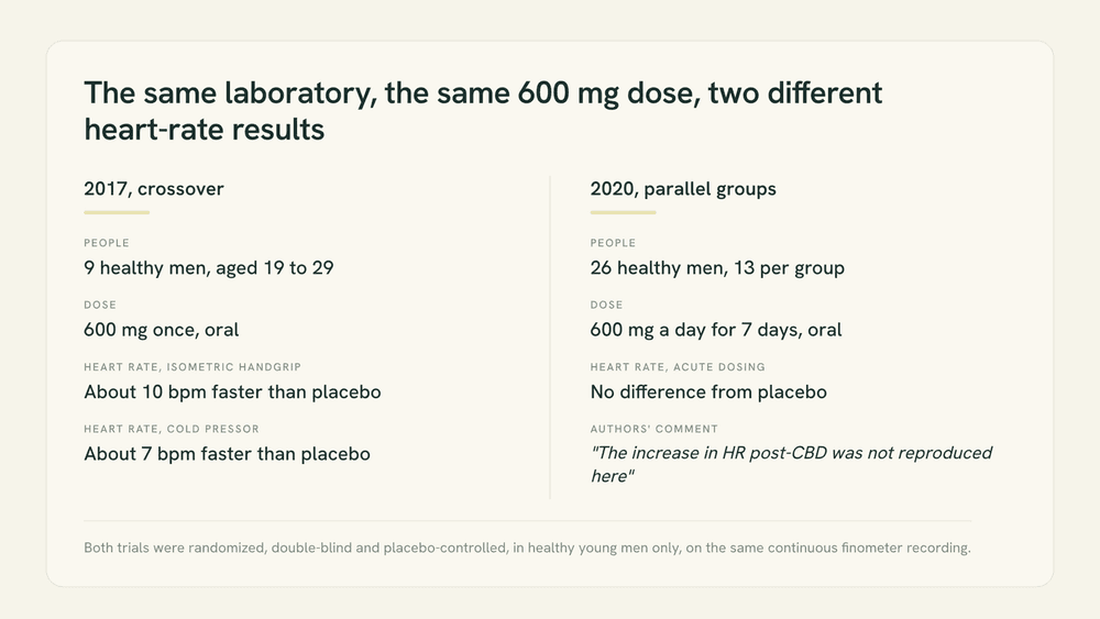 Two trials from one laboratory at 600 mg: the 2017 crossover in 9 men found heart rate about 10 bpm faster during handgrip and 7 during cold pressor, and the 2020 trial in 26 men found no difference.