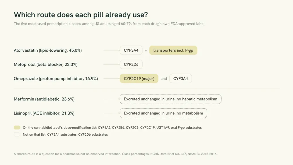 Route map showing how five common prescription classes are cleared from the body and which of those routes appear on the FDA-approved cannabidiol label's dose-modification list.
