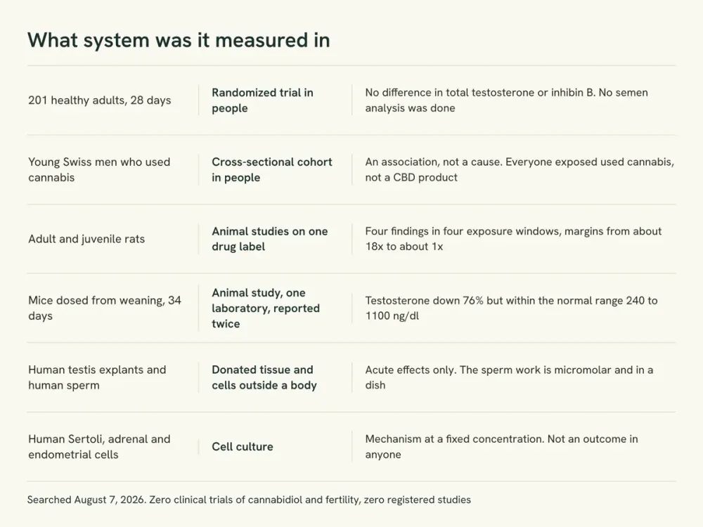 Evidence ladder showing the species and system behind each result on CBD and fertility, from human trials at the top down to cell experiments.