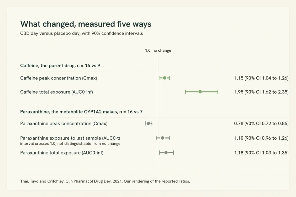 Chart of five measured ratios against a reference line at 1.0, with caffeine's two ratios above the line and paraxanthine's peak ratio below it.