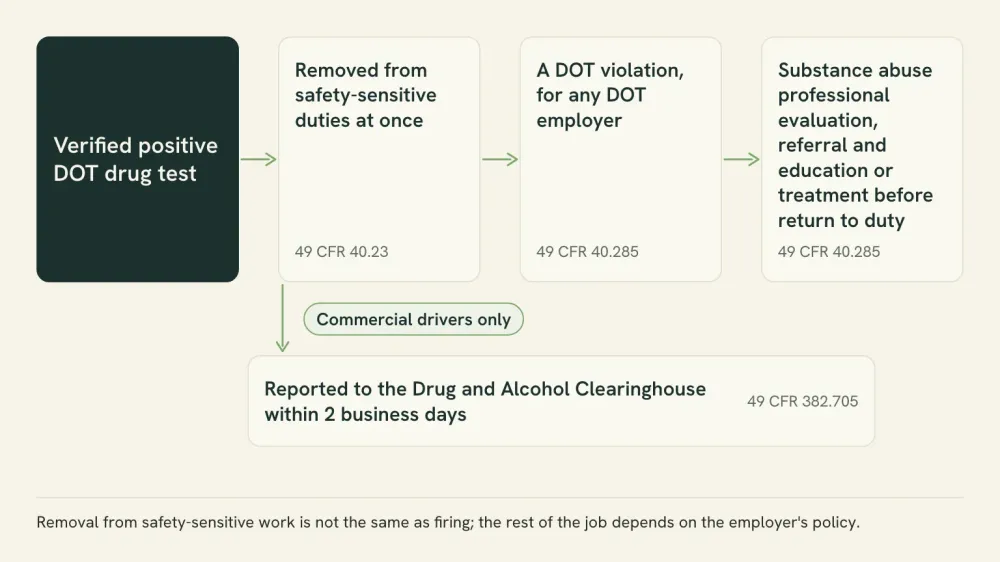 Flow diagram of what follows a verified positive DOT drug test: removal from safety-sensitive duties, a DOT violation that applies with any employer, and a substance abuse professional process before return to duty.