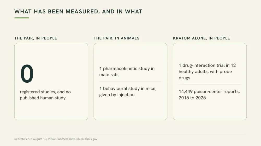 Three-column evidence map: the pair measured in people equals zero studies, the pair in animals equals two preclinical studies, and kratom alone in people equals one trial and eleven years of poison-center reports.