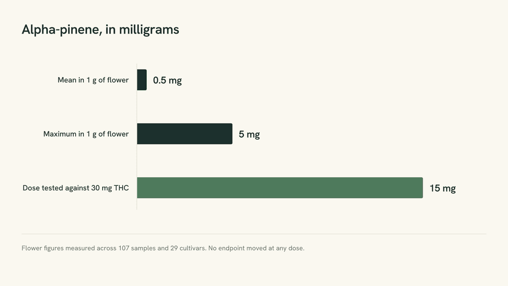 Bar chart comparing 0.5 mg and 5 mg of alpha-pinene in one gram of cannabis flower with the 15 mg dose used in human trials.