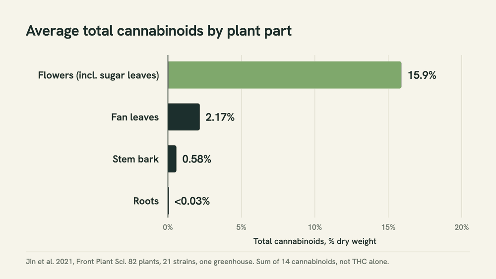 Bar chart of average total cannabinoids by cannabis plant part: flowers 15.9%, fan leaves 2.17%, stem bark 0.58%, roots under 0.03%.