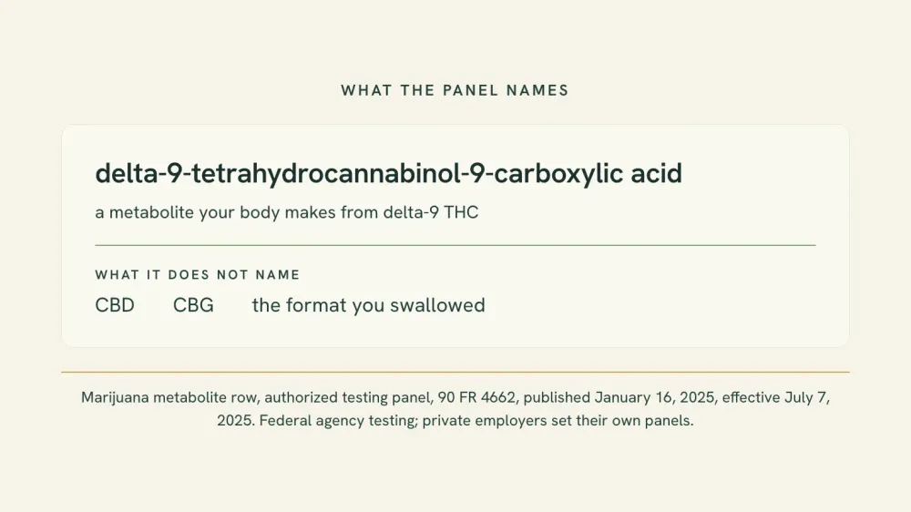Typeset card naming the one analyte a federal workplace urine panel looks for, delta-9-tetrahydrocannabinol-9-carboxylic acid, beside the three things it does not name: CBD, CBG and the format you swallowed.