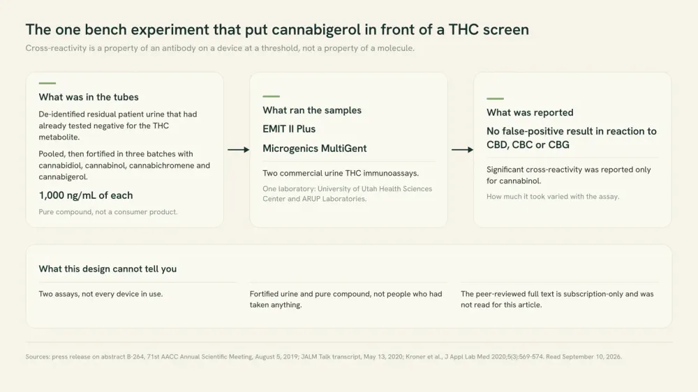 Diagram of the one bench experiment that tested cannabigerol against THC urine screens: four cannabinoids spiked at 1,000 ng/mL into pooled THC-negative urine, run on two named commercial assays, with the reported result and the limits.