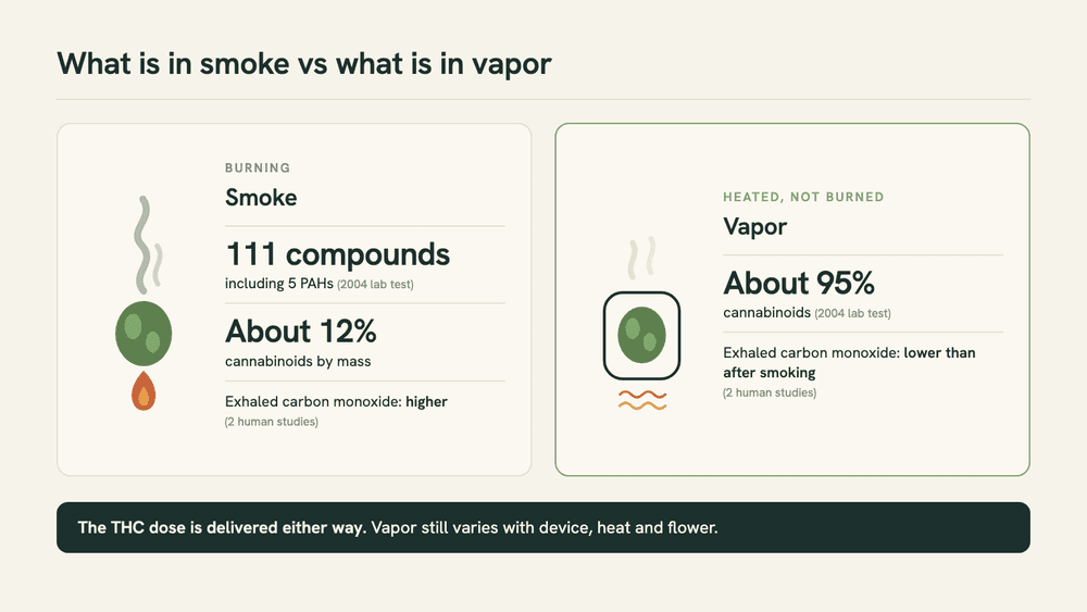 Two-panel diagram. Left, burning flower: smoke with 111 compounds including five PAHs, about 12% cannabinoids, higher exhaled carbon monoxide. Right, heated without flame: vapor about 95% cannabinoids, lower carbon monoxide.