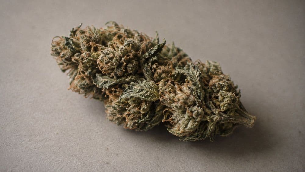 Is CBD Flower Legal? The Federal Rule, the State Bans, and Why an Officer Cannot Tell