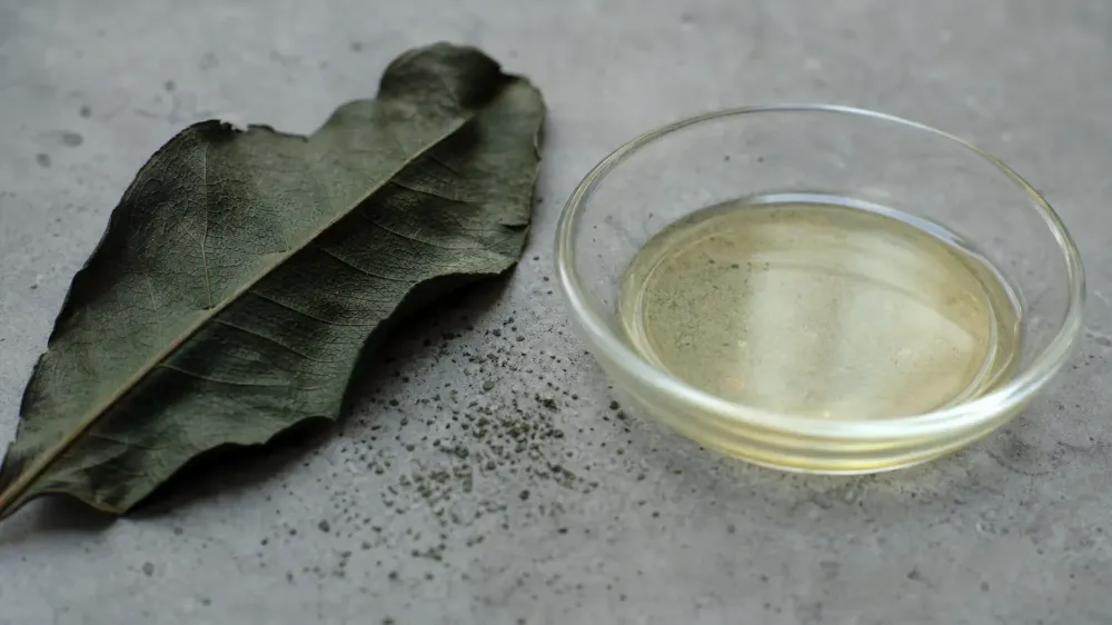 CBD and Kratom: One Animal Study, and No Human Data