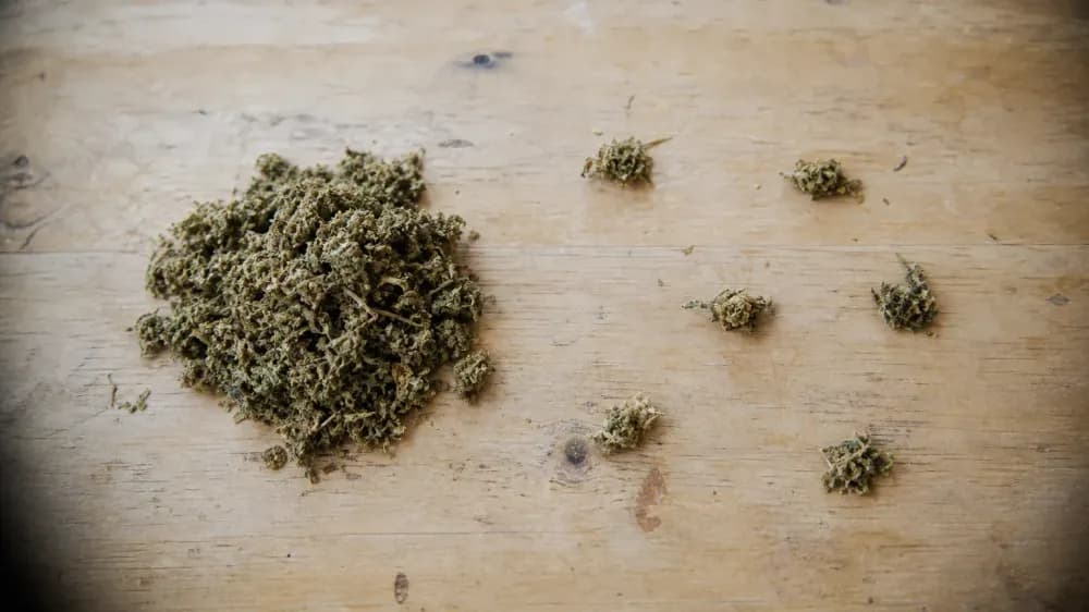 Major vs Minor Cannabinoids: What the Labels Really Mean