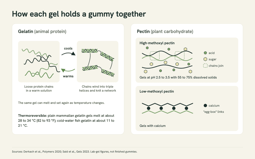 Diagram comparing how gels set: gelatin chains wind into helices as they cool and unwind with warmth; high-methoxyl pectin gels at pH 2.5 to 3.5 with 55 to 75% solids; low-methoxyl pectin links through calcium.